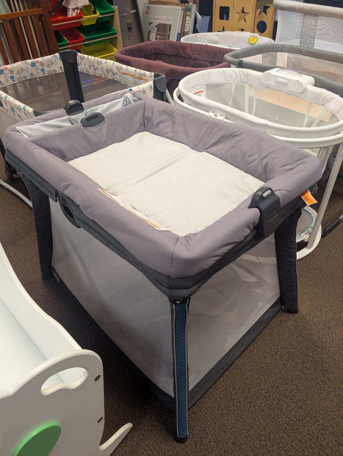 chicco pack n play