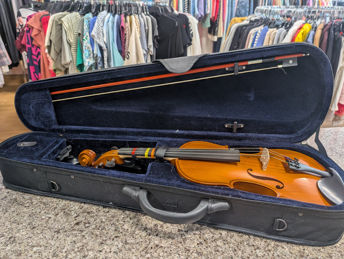 violin 4/4 full size with case