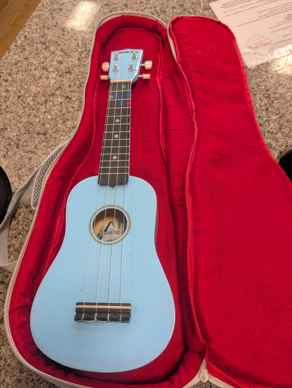 ukelele with case