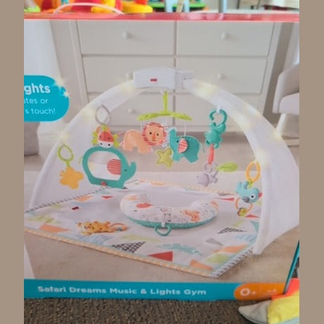 Fisher Price  New Activity Gym, None