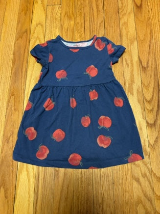 bu carters dress, 3t